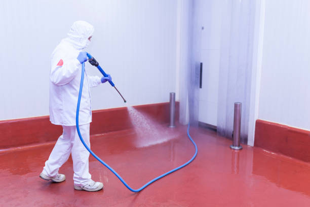 Professional Pressure Washing Services in Elgin, MN